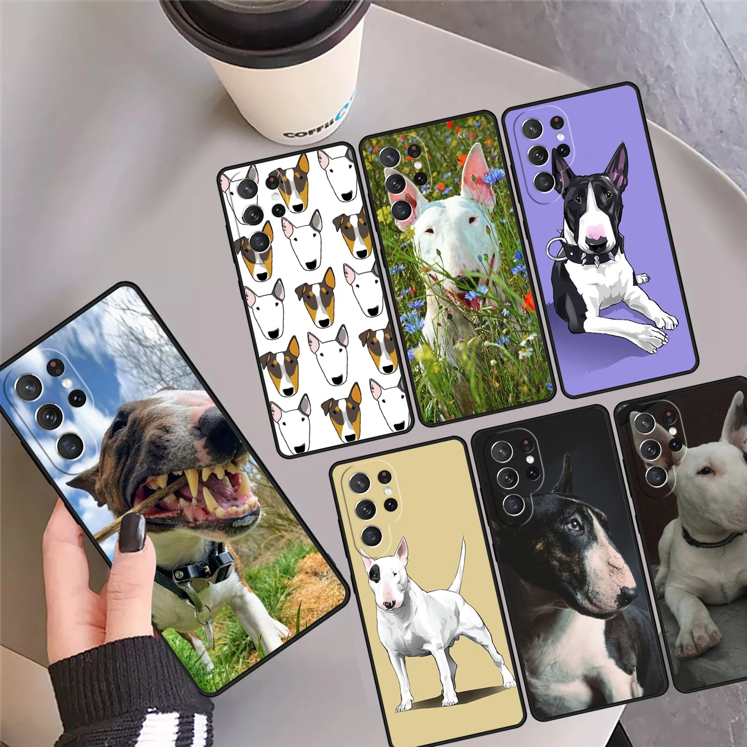 Bullterrier Bull Te… - image