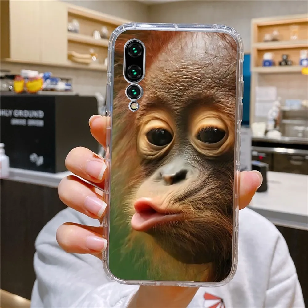 Monkey Sipping Capri Meme Phone Case For Xiaomi 11 Redmi Note 11 5G 8T 9A 9 10T Note8Pro Note9 12SUltra Transparent Case