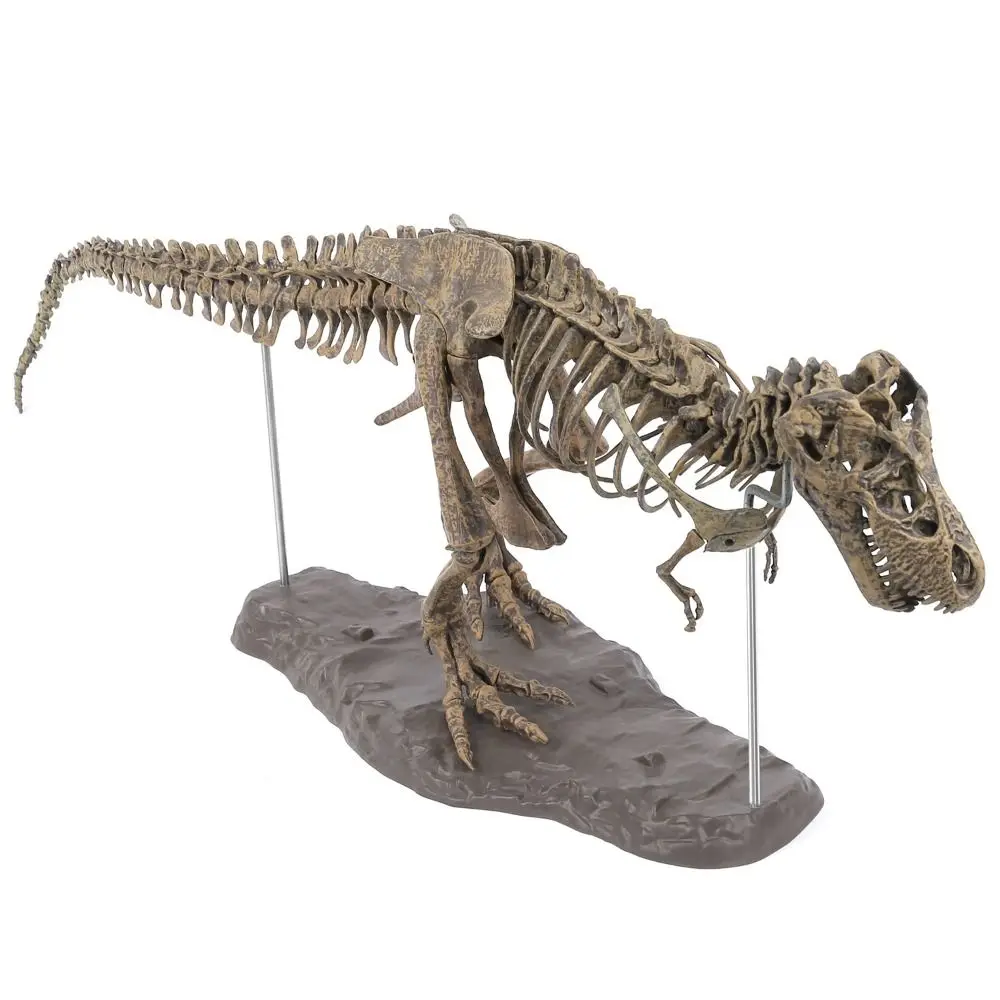 animal-figurines-diy-dinosaur-skeleton-toys-jurassic-period-tyrannosaurus-rex-assembled-skeleton-park-70cm-large-big
