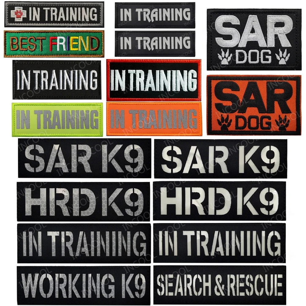 Dog In Training Wor… - image