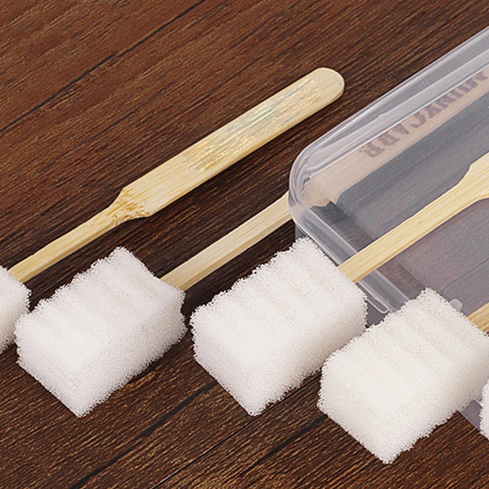 

5 Pcs String Cleaning and Maintenance Tools Brushes Guitar Repair for Musical Instrument Electric Sponge