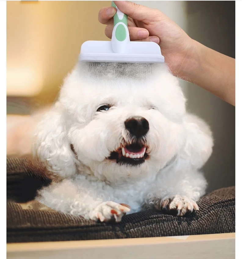 

Pet comb suitable for cats and dogs Comb for combing and pulling hair Special cat hair combes for floating hair Pet combs brush