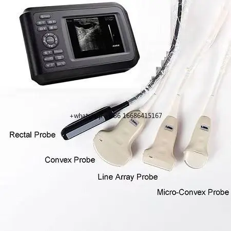 

Ветеринарный УЗИ-аппарат для клиник, одобренный CE, лучшая цена в Китае, медицинское оборудование