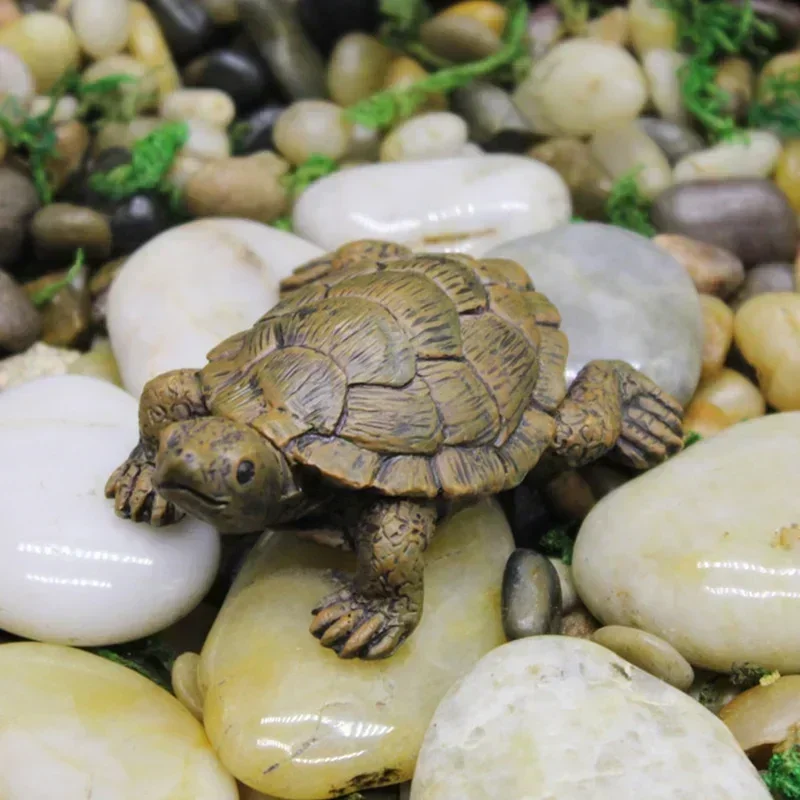 Simulatie Van Kleine Schildpadhars Ambachten Micro-Landschap Tuinieren Balkon Bloempot Sappige Plant Ornamenten Huisdecoratie