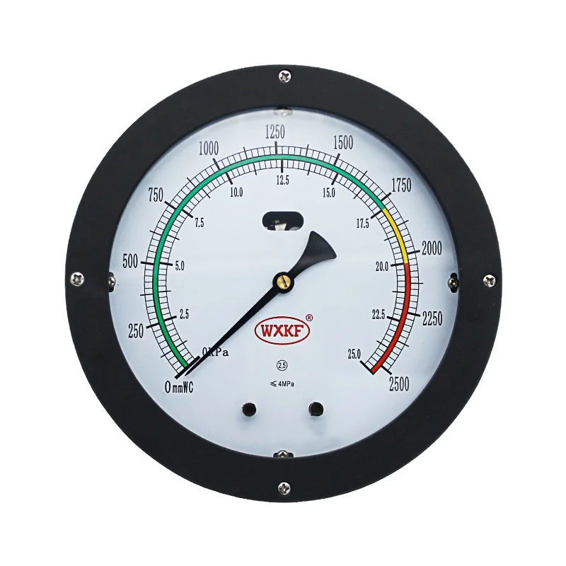 200mm Differential Pressure Level Gauge Hydraulic Pressure Gauge