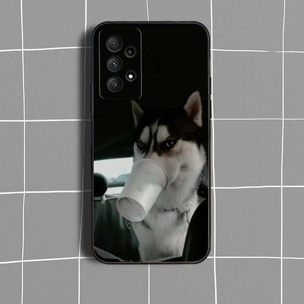 حافظة لهاتف سامسونج جالاكسي A73,31,32,72,41,53,52,71,22,5G,Note,J7,8,9 غطاء أسود ناعم