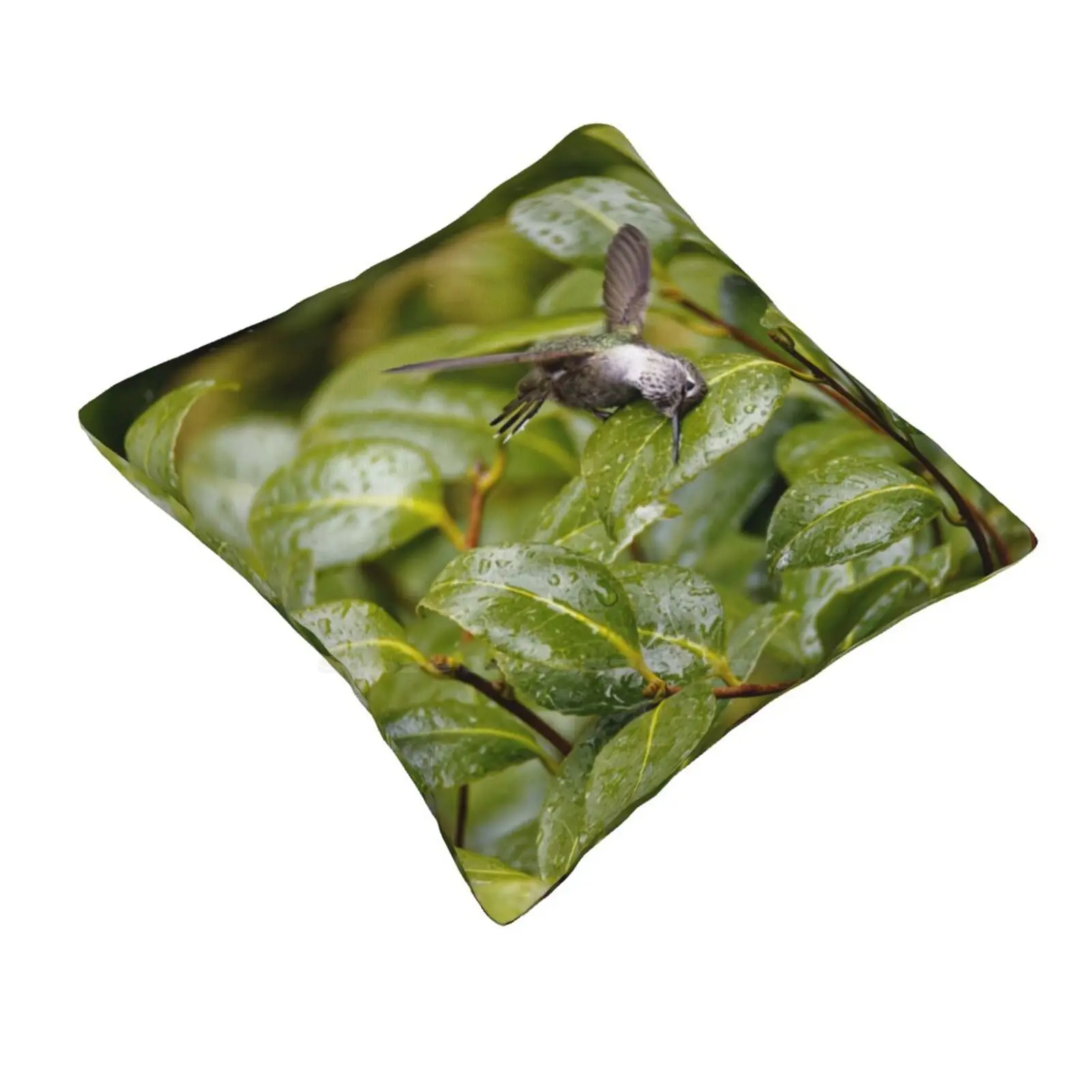 Hummingbird Washing Itself On A Leaf. Pillowslip Pillowcase Hummingbird Art Watercolor Hummingbird For Women Wildlife Garden