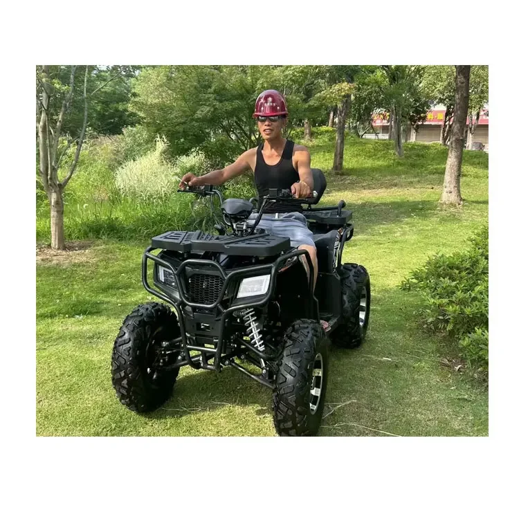 2024 Low Price Tao Motor Electric ATV Automatic 4-Wheeler With Chain Drive 2WD Quad Bike For Off-Road Vehicle For Beach/vacation