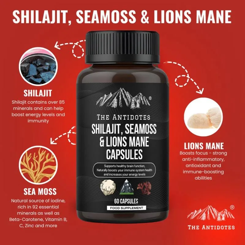 Capsules Shilajit, Seamoss et crinière du Lion - Antioxydant, bénéfique pour la santé physique et mentale et améliore la vitalité