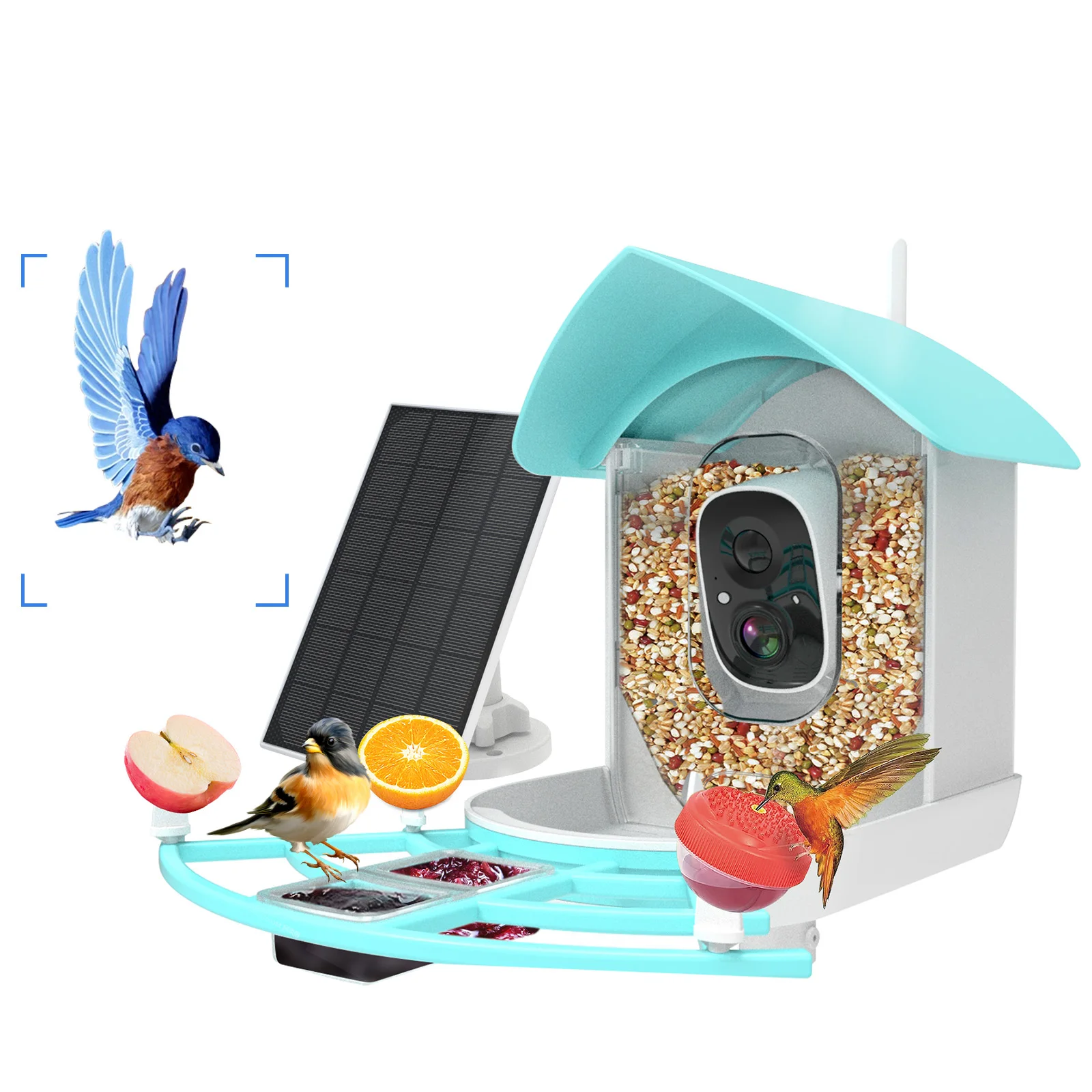 1080P WiFi feeder camera Wireless Outdoor Solar Powered Bird Buddy Waterproof Smart Bird Feeder AI Intelligent Recognition Birds