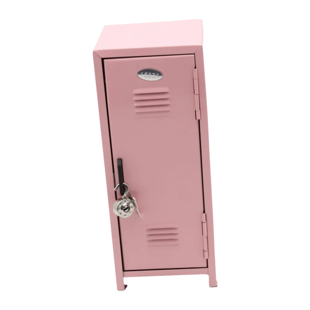 Aesthetic Iron Makeup Storage Cabinet Two Layers Vertical Key Storage Box with A Lock Lockable Cabinet Organizer Box Girl