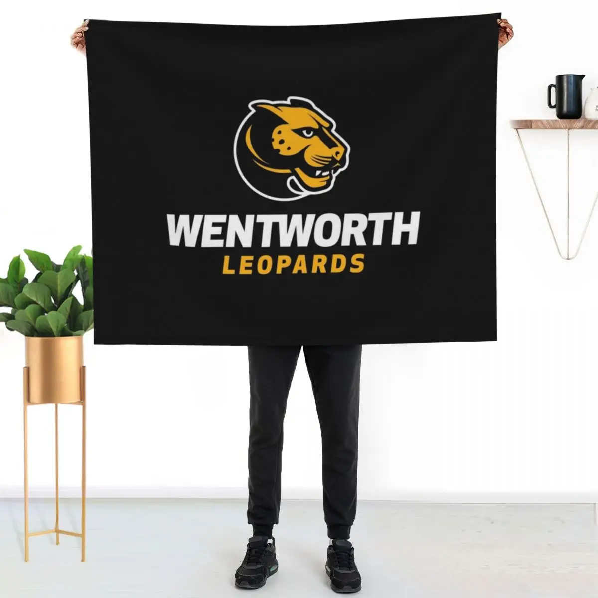 Wentworth Institute of Technology Throw Blanket Cute cosplay anime warm for winter Luxury Brand Hairys Luxury Blankets