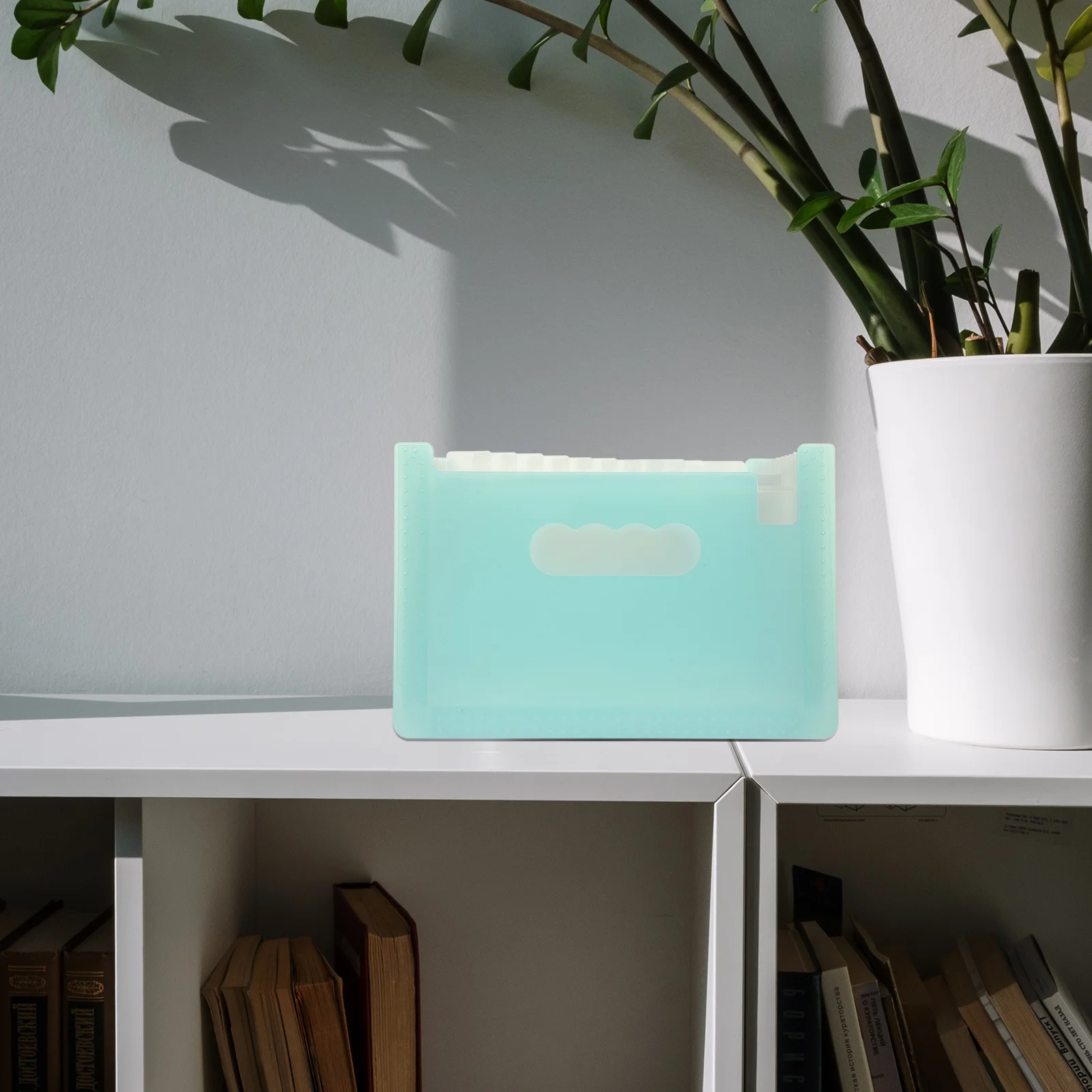 

Pp File Folder Accordion Organizer For Receipts Coupons Cards Portable Multi-Function Office Supply Storage