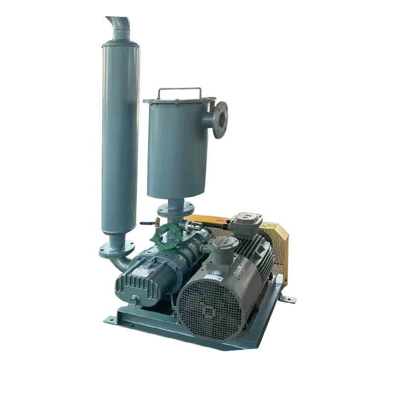 Electric Roots Vacuum Pump for Sewage Treatment Oxygen-Enhancing Negative Pressure Fan Medium Pressure AC Current