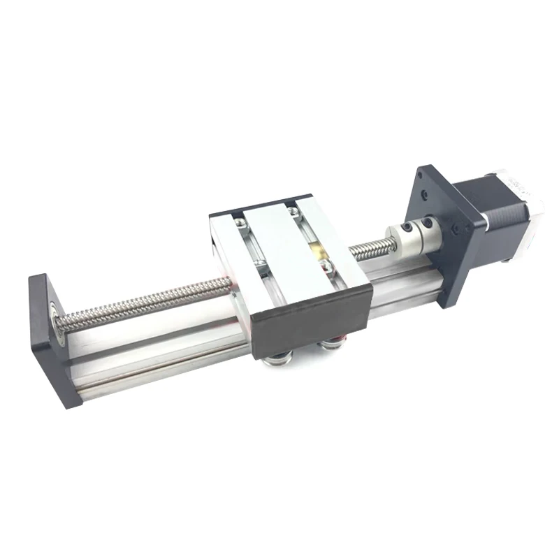 Picture 4: ST T8*2 Type Screw Electric Linear Slide Table Module Rail Motion Unit