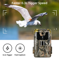 Suntekcam Hunting Trail Camera HC900A 36MP 2.7K Detection Range Waterproof Night Vision Trigger Distance Wildlife Monitoring