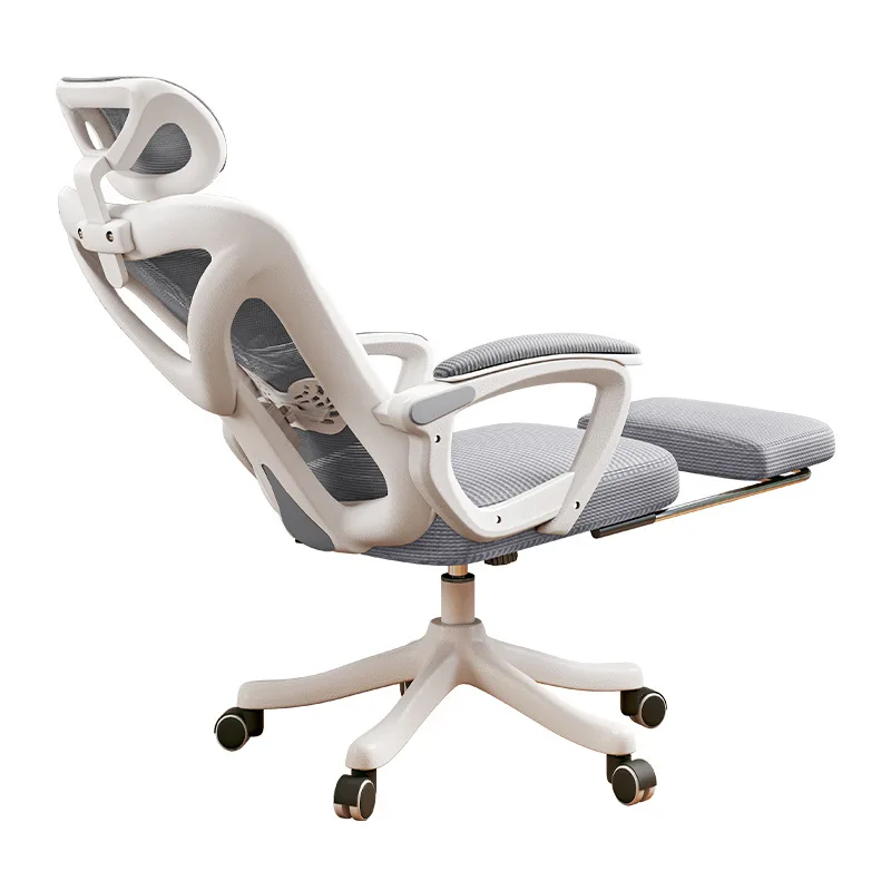 

Ergonomic chair for reclining comfort and sedentary computer chair
