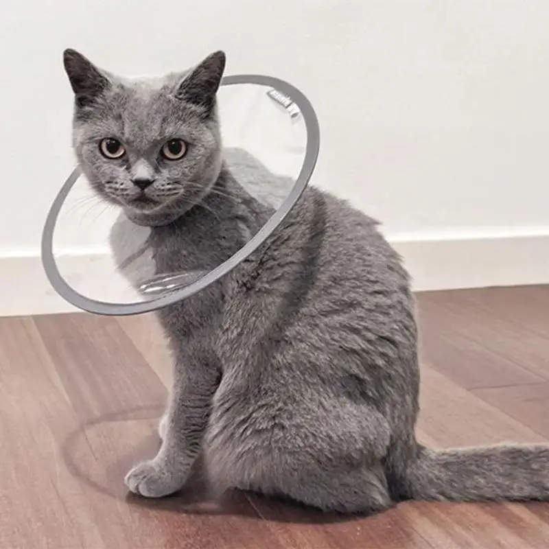 X4YE Dog Cone Collar After Surgeries Multiple Size After Surgeries Soft Collar