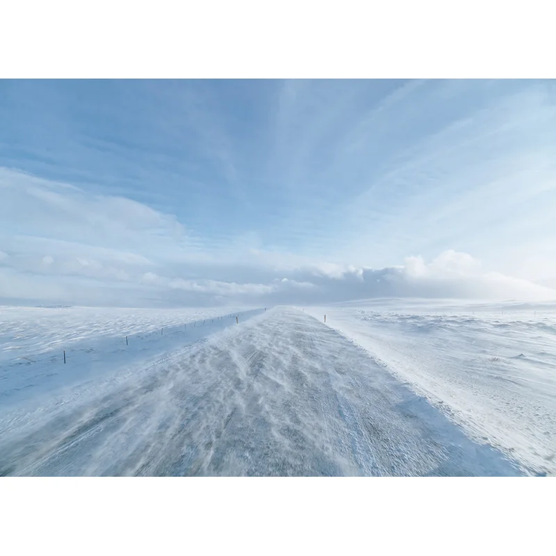 Фон для фотосъемки природный пейзаж весенний пейзаж путешествия студийный реквизит 2196 SSL-08