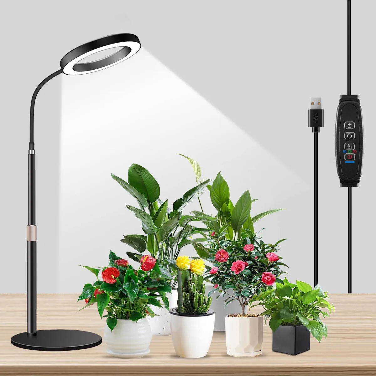 Grow Light for Indoor Plant, Desk LED Grow Light Stand, Height Adjustable,Automatic Timer 3/9/12 Hours, Ideal for Small Plant