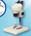 Binocular Microscope