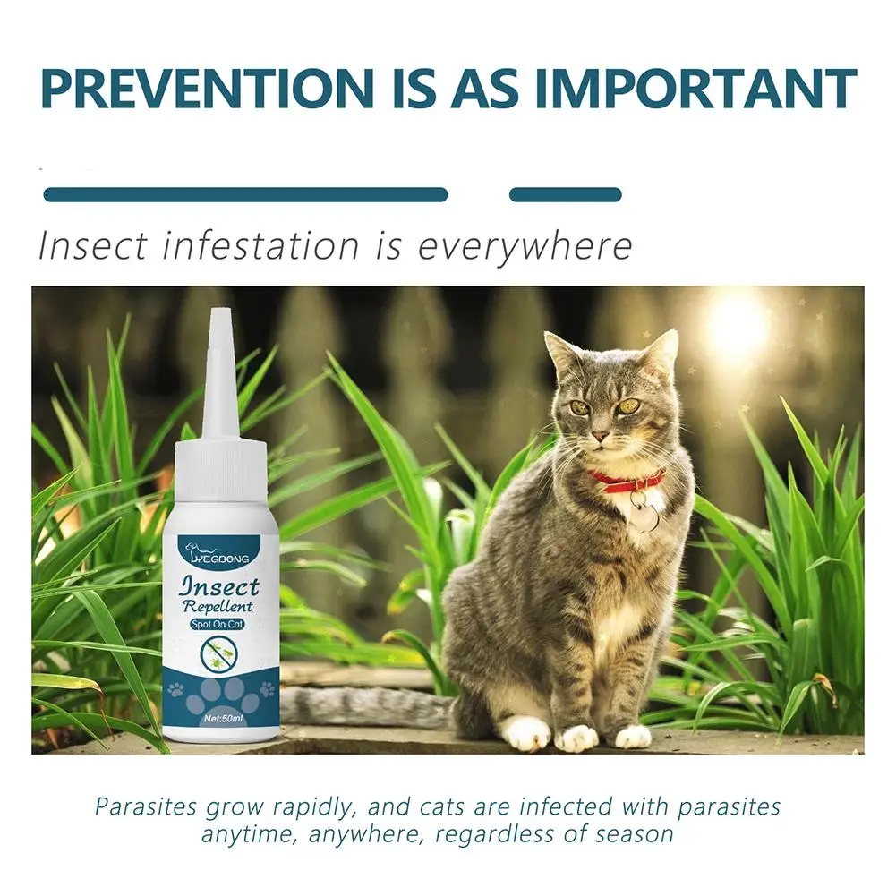 Pet Flea Killer Drops Anti Fleas Cats Ticks Lice Mite Itching Removal Pet Dogs Insect Relieve Removal Treatment Ringworm Dr S9R9