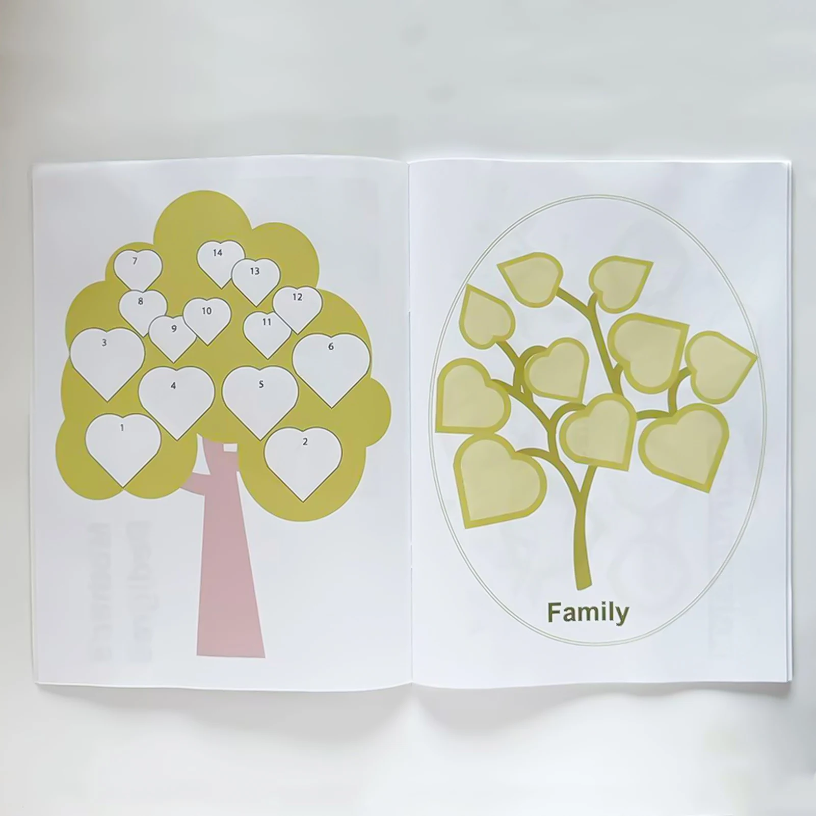 Genealogy Organizer Family Tree Book With Multi Generation Tracking And Structured Layout For Family History Preservation