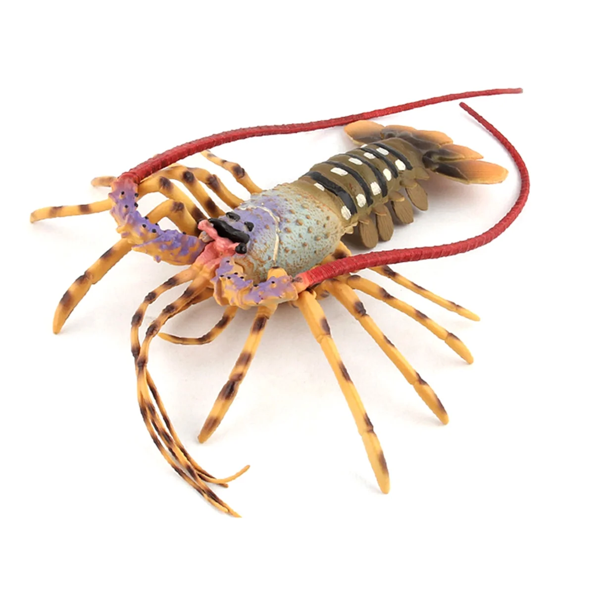 

AB31 Realistic Marine Simulation Lobsters Model Australian Lobster Boston Lobster Toy for Kid Gift D