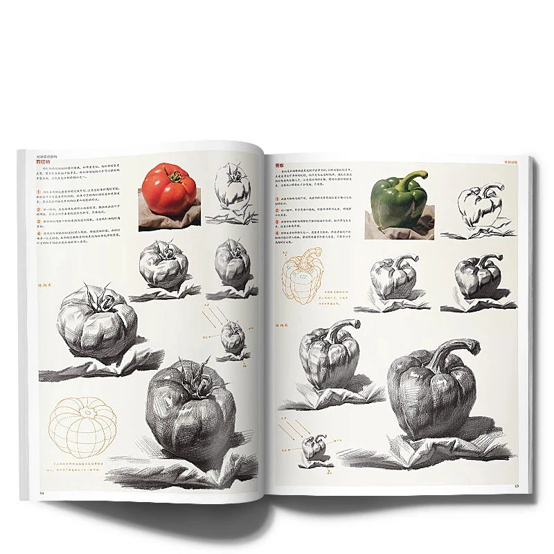 Sketch Still Life Copy Template Book Single Object and Combination Structure Drawing Tutorial Textbook Basic Sketch Practice