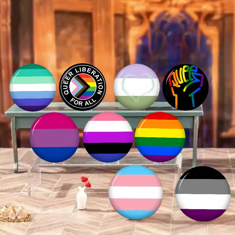 LGBTQ Art Pride Lesbian Gay Rainbow Flag Brooches Soft Button Pin Funny Silly Gnarpy Badge Gamer Collection Gifts