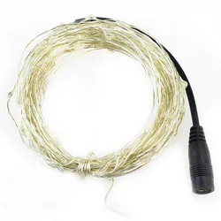 12V 10M 20M 30M 50M Holiday LED String Light filo di rame corda stellata impermeabile flessibile fata luci Party edge + adattatore di alimentazione