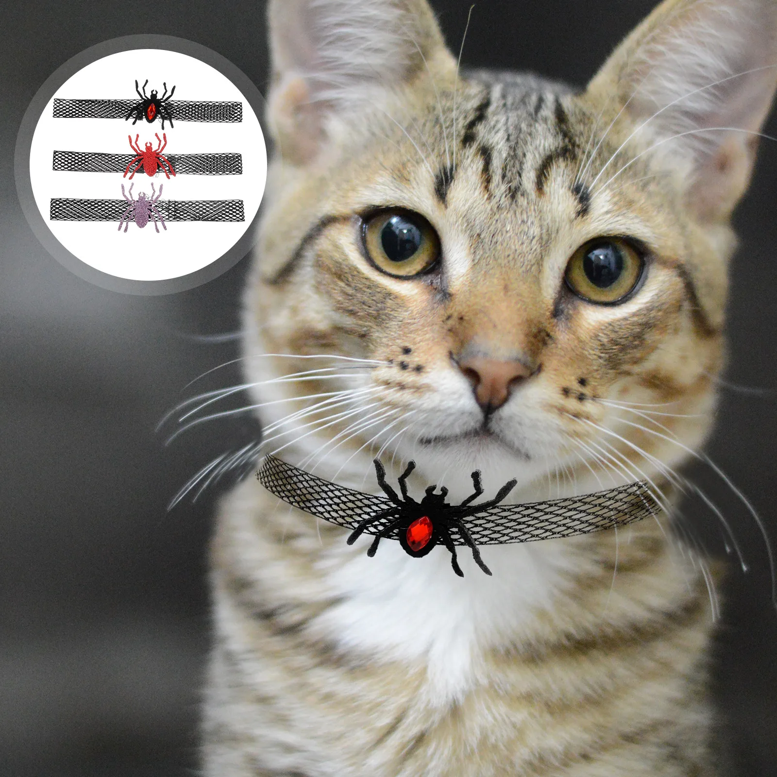 

3PCS Cat Collar Bells Halloween Christmas Spider Detachable Adjustable Small Cats Kitten Accessories Pet Costumes