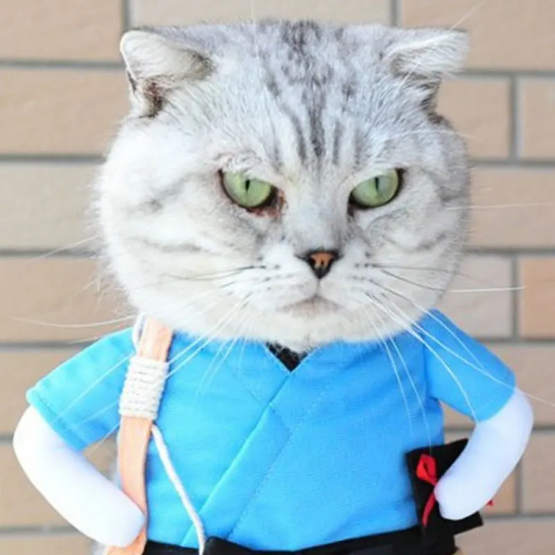 Cute Pet Cosplay Halloween Clothes Samurai Funny Upright Costume Dress Up For Cats Dogs