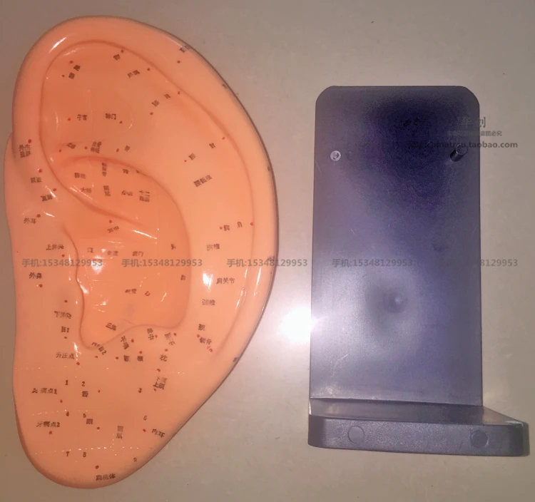 

40/22cm plastic acupuncture reflection area ear model acupuncture point model Chinese edition