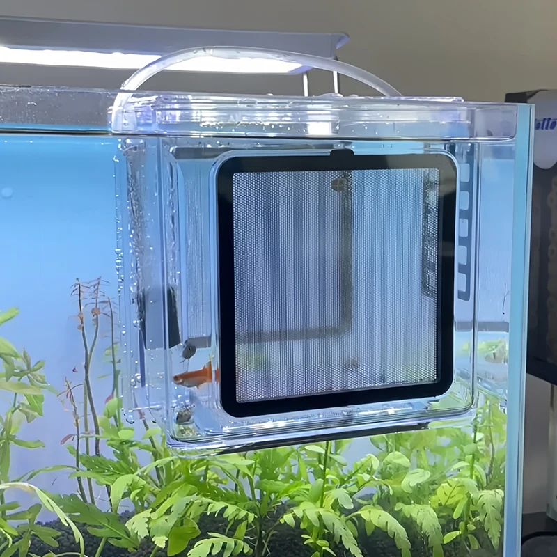 

Изолирующий бокс для инкубации мальков, акриловый аквариум, съемная сетка из нержавеющей стали, маленькая декоративная разводная камера для мальков