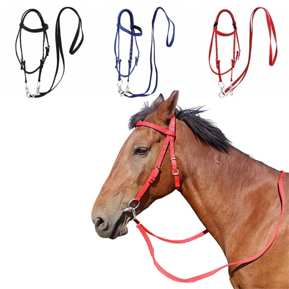 

Thickened Horse Halters Adjustable Strap Comfortable Horse Bridle Headband Durable Three Colors Horse Bridle Training Rope