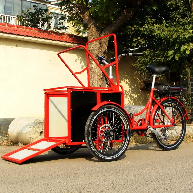 Mini Cargo Bike, Golf Cart Tricycle, Pet Bicycle, Electric Cargo E-Bike, Best Selling Design for Small Pets and Goods Transport