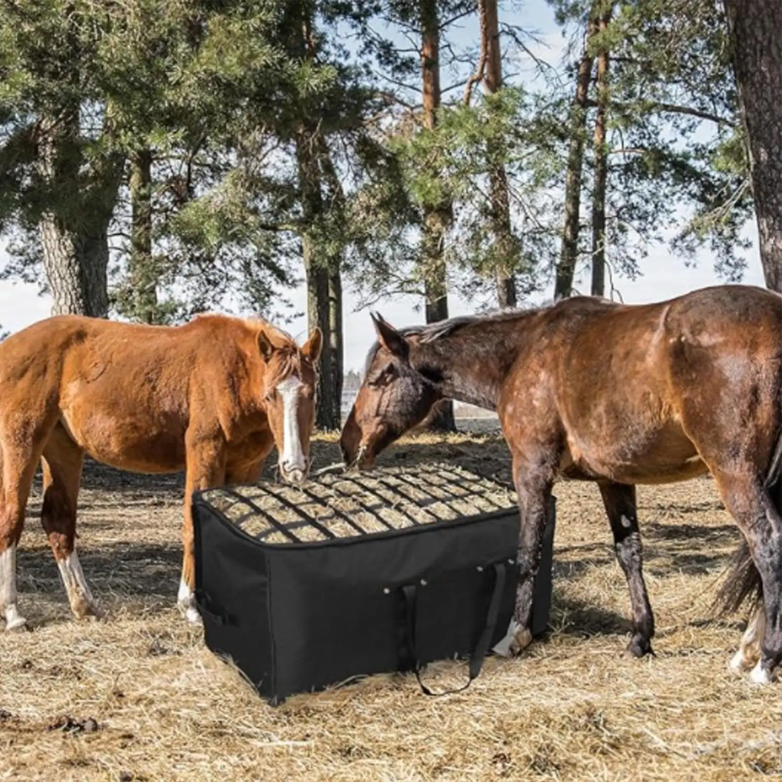 Thumbnail 3 - #27 Best Automatic Livestock Feeders to Buy In 2026
