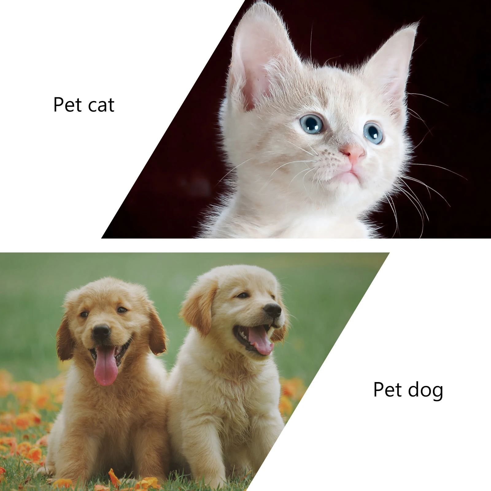 

Pet Out Bag Carrier Outdoor Kitten Dog Grey Polyester Portable Lightweight Durable Breathable Safe Comfortable Sling Backpack