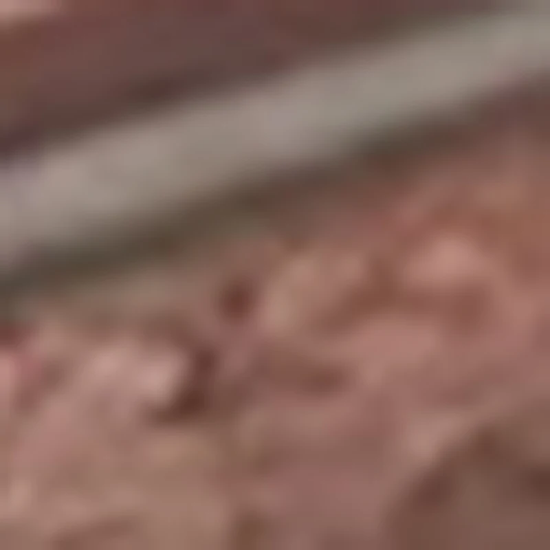 

Stethoscope Spare Parts Replacement Eartips Tunable Diaphragm Rim Assembly Kit Compatible for Littmann Classic III 40016 B1