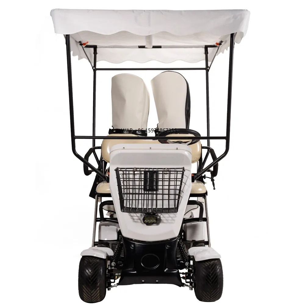 

2 Seater Golf Cart Electric Club 4x4 Golf Cart Accessories Club Cart
