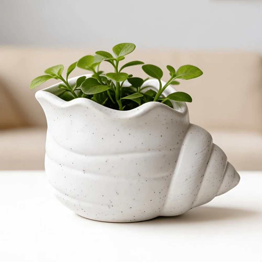 Pen Holder 3D Printed Conch-shaped Flower Pot Ornaments Ocean-themed Conch Storage Box Decoration Mini Plant Pot Indoor Plants