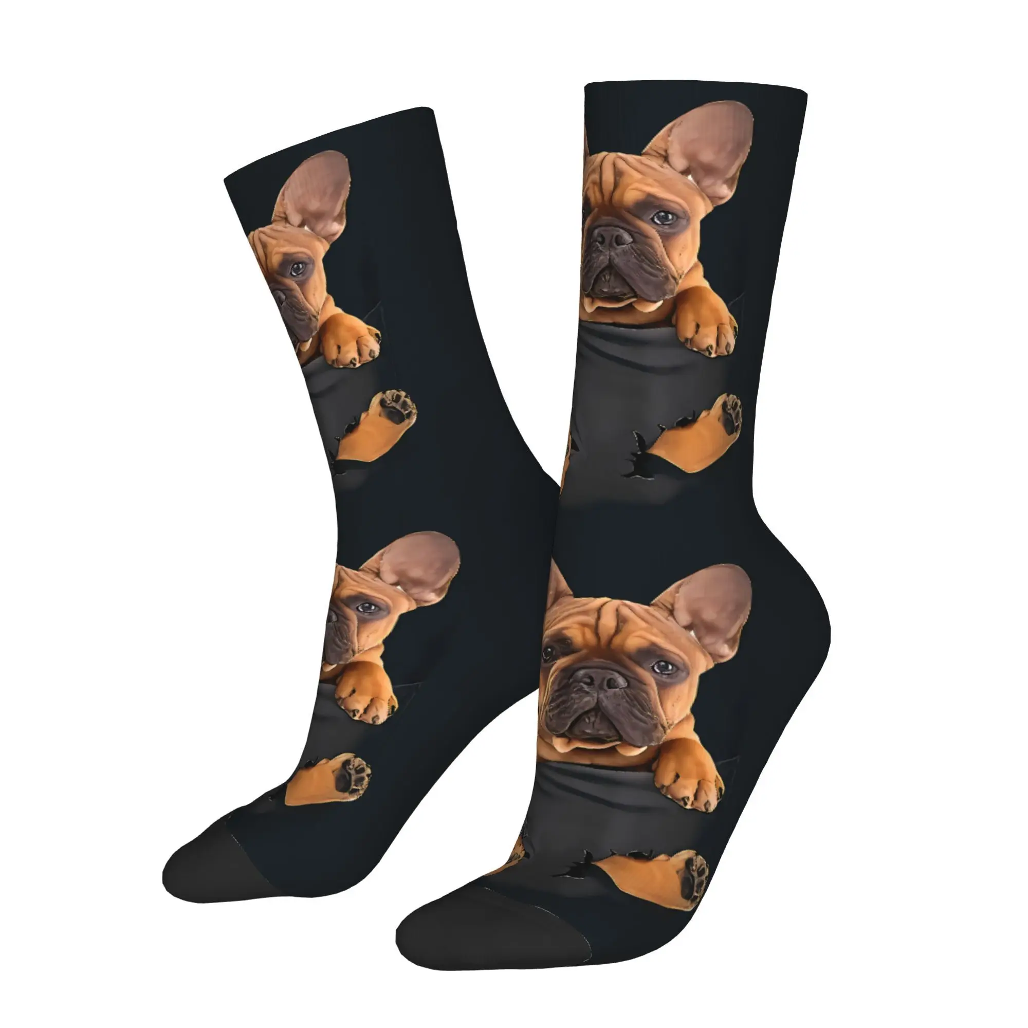 

Pocket Cute Animals French Bulldog Sock Printed Man Polyester Fashion