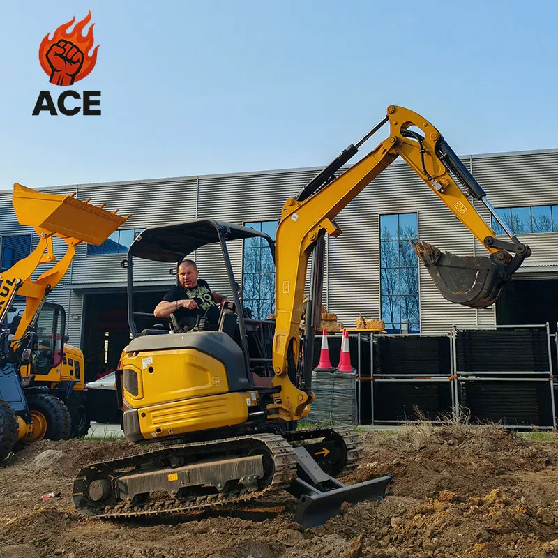 

Мини-экскаватор Kubota с двигателем, 3-тонный экскаватор-погрузчик, полностью гидравлический мини-экскаватор с возможностью индивидуальной настройки и бесплатной доставкой.