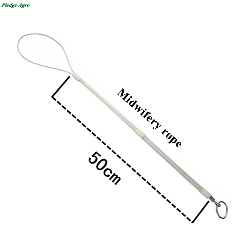Pig Swine Farming Obstetric Instruments Sow Dystocia Rope J Hook Pliers Kit Stainless Steel Breeding Tools Supplies