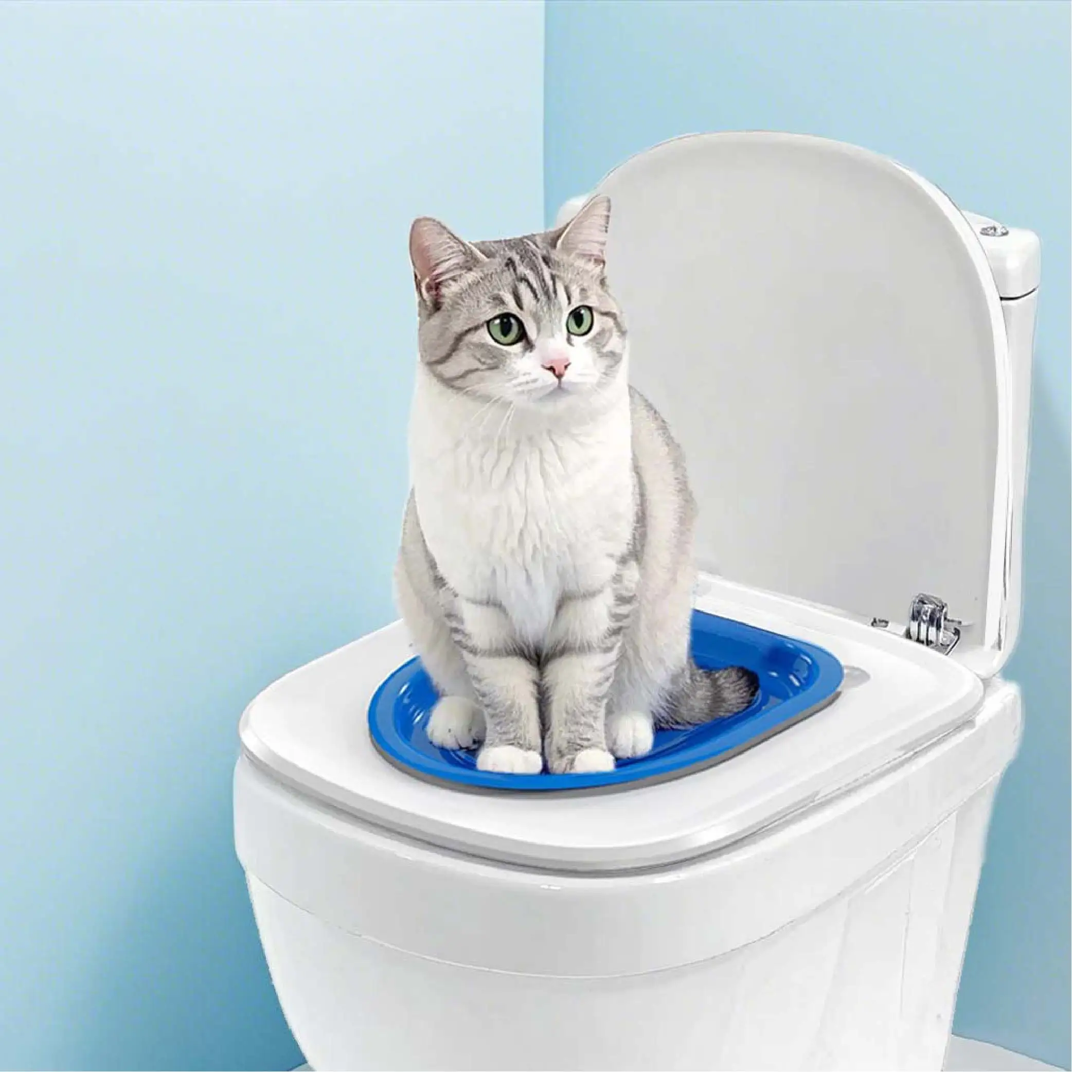 Katzentoiletten-Trainingstrainer, Katzentoilette, der die Katze unterrichtet, um die Toilettenschüssel zu verwenden, Katzen-Badezimmer-Trainingssitz für Katzen