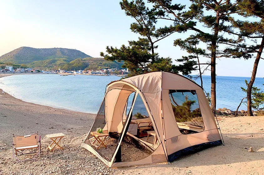 New Design Dome Car Rear Tent Tent Outdoor Custom Camping Tents for Hiking Fishing Picnic Durable Portable Waterproof Tent