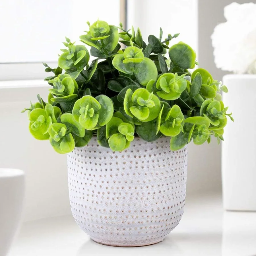 

Artificial Lysimachia Succulent in Ceramic Planter for Home Office Table Desk Decor Green Fake Plants with Natural Look, Ideal