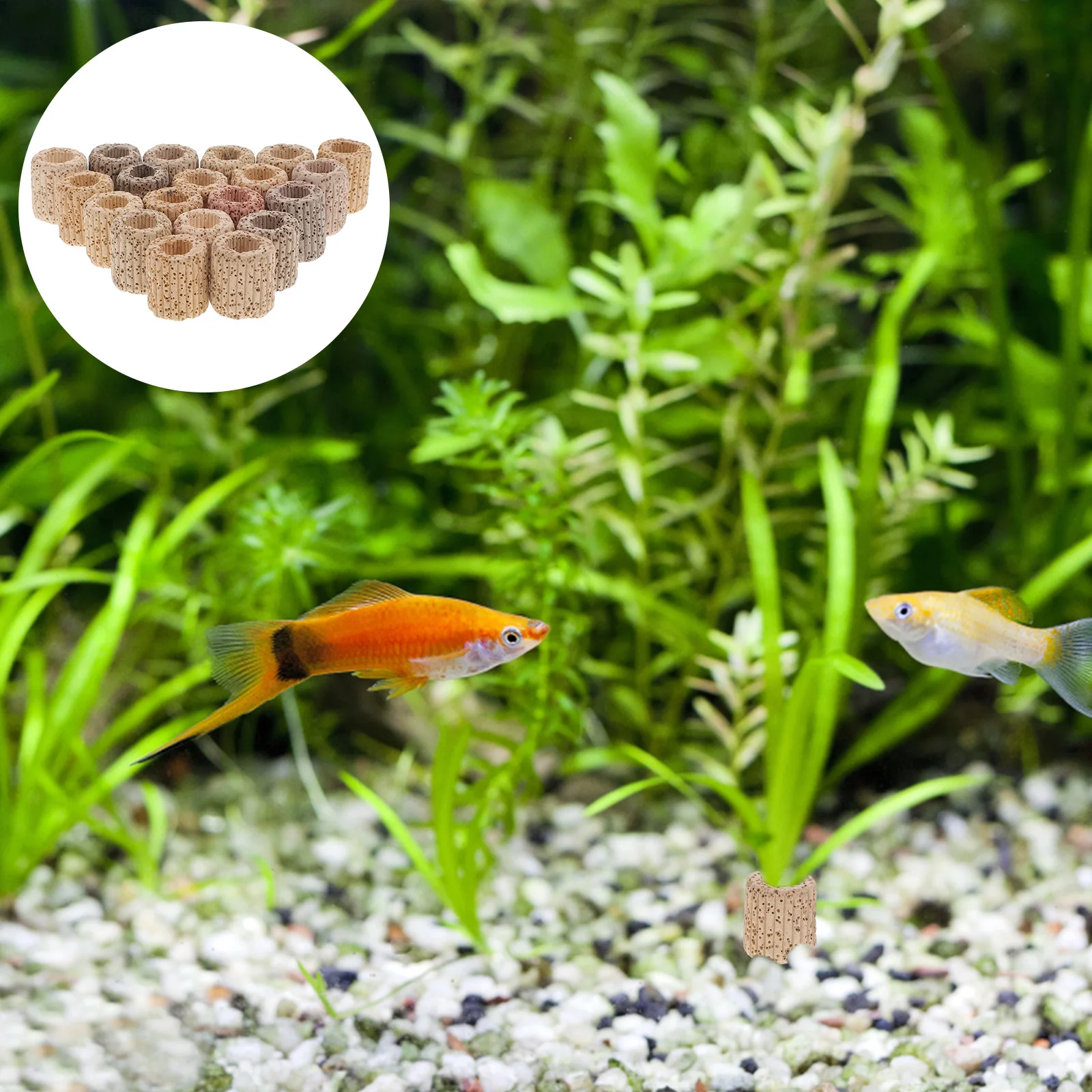 

20Pcs Water Plant Fixed Ring Premium Pottery Durable Holder Aquarium Fish Tank Aquatic Plant Landscape Fish Tank Fixed Ring