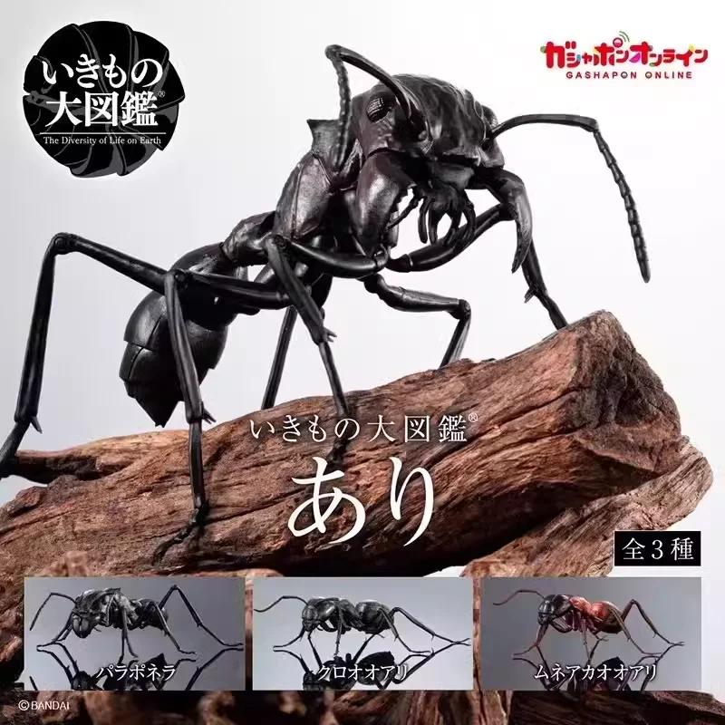 Japanese Genuine Gacha Scale Model Red Imported Fire Ant Stereo Model Ant Cute Tabletop Decoration Action Figure Toys